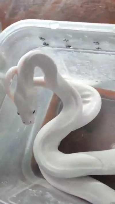 hes low-key scared af