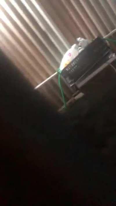 Es lo más que le eh podido traer de mi vecina culona