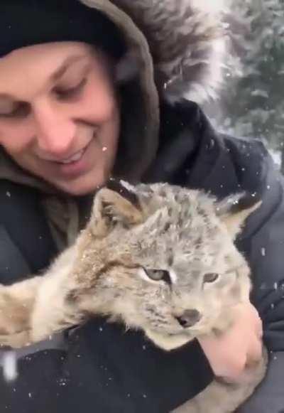 Зимнего Котика Вам [Звук]