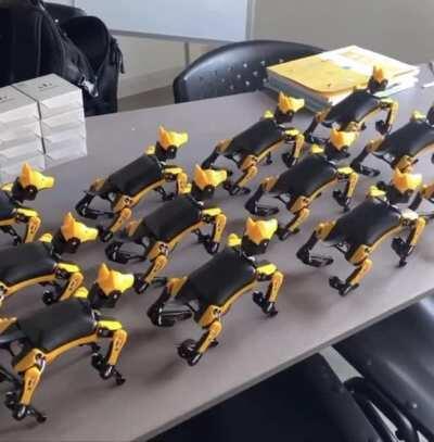 Saw an ad for these weird robot dogs on insta and i put mvm music over it bc why not lol