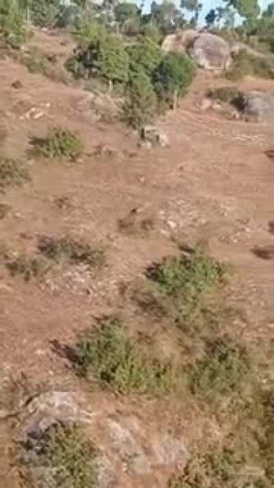 Probably shit their pants