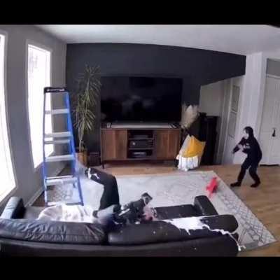 Pov: Niijima Household