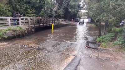 He likes to travel light so he left his brain at home.