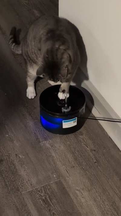 What water fountain or adjustments do you use?