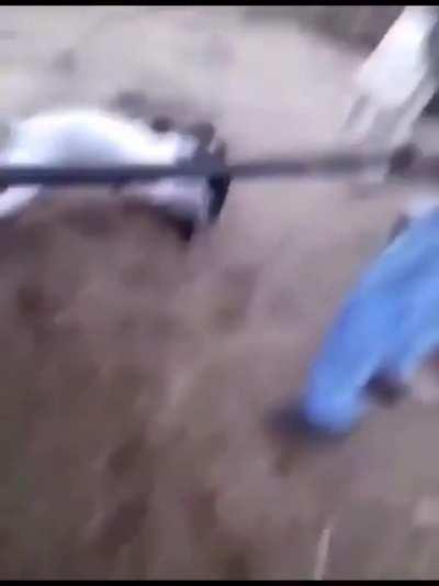 Blursed_ roller coaster of emotion