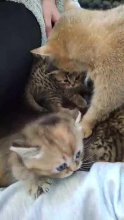 We are shortstaffed and unable to keep control