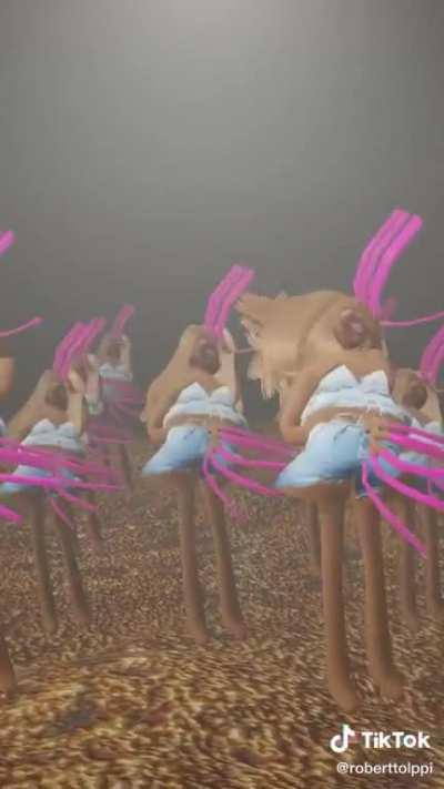 Yeah I think I scrolled too far.