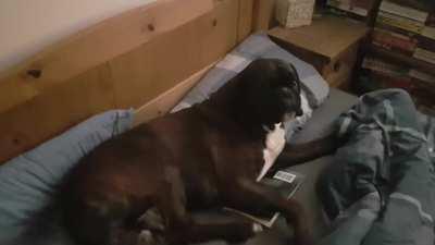 Coming home from a night shift be like.... (sound on)