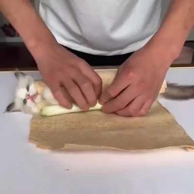 MErCilEss bEAst EaTs cAtS FoR lUnCh