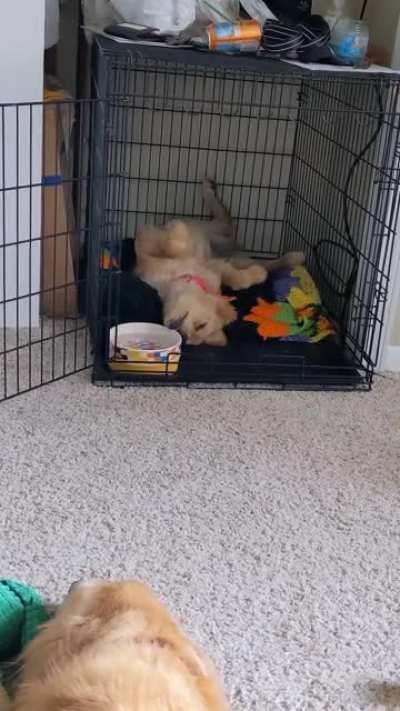 I don't understand her sometimes