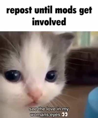 Leave me alone jannies