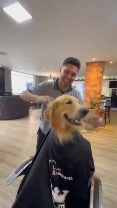 came to the barber in a great mood