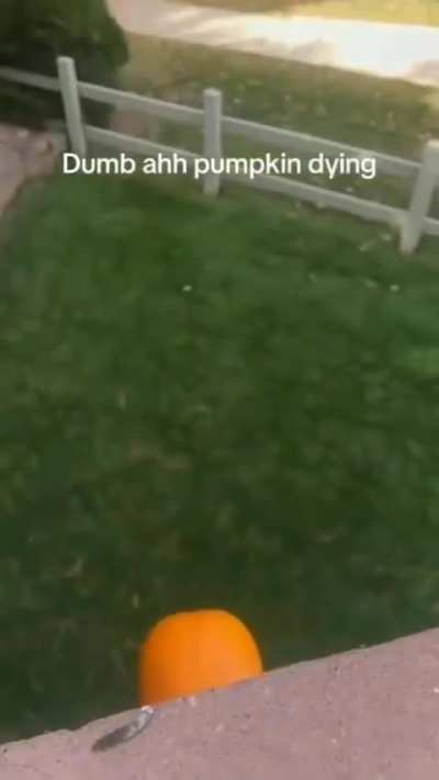 yebrurjg tskcmg xukr s3u2i2idndvdyrbnejeuebs whdbsbb