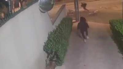 The Brazilian shogunate is alive and well KKKKKK