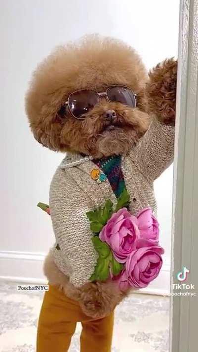 To get your Valentine's spirit on.