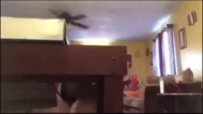 Can I do sum real quick