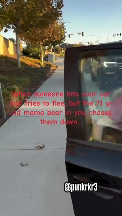 Hit and run driver(allegedly) has epic meltdown 