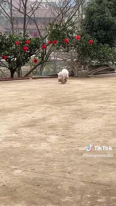 imagine running that hard and thats how fast you go