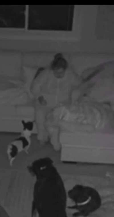 Пончик-лунатик