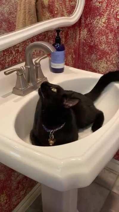 Just yellin in a sink...