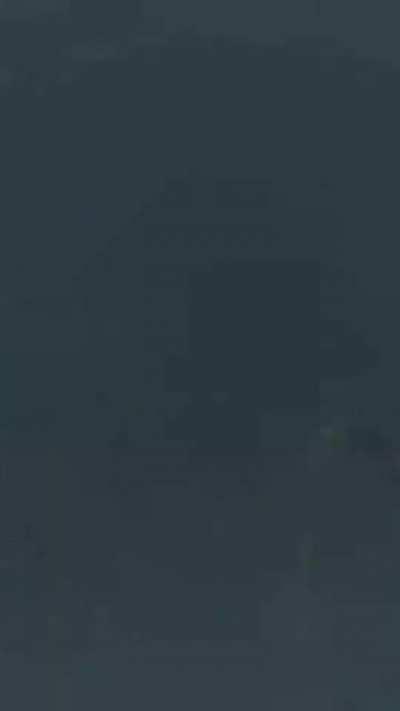 The way Whales emerge from the deep water, just terrified me every time.