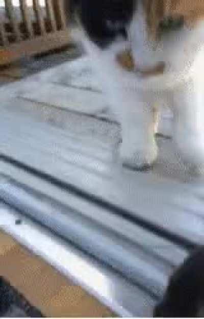 Why would you do that?