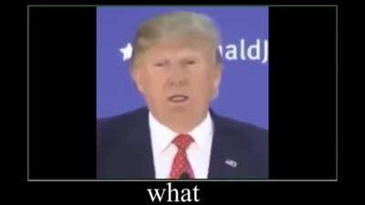 trump says baba booey?!?!?!? 😳😳😳