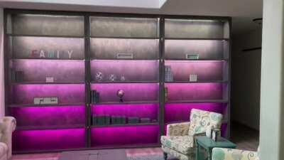 Hue light strips in bookshelf and Siri