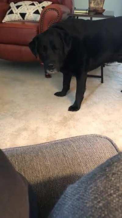 If I only knew what he wanted!