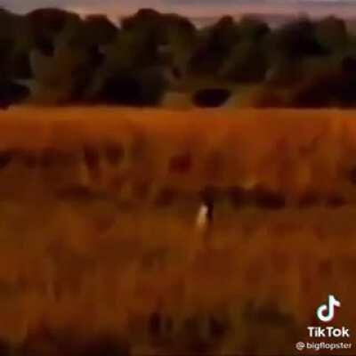 🚬🍃certified floppa exclusive🍃💨