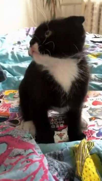 Jump Scares are getting out of hand.