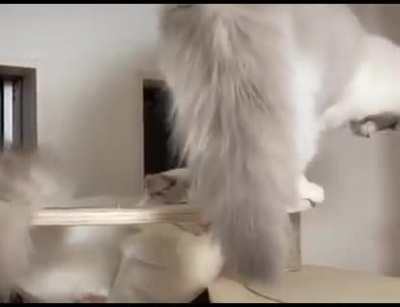 Что-то из БДСМ