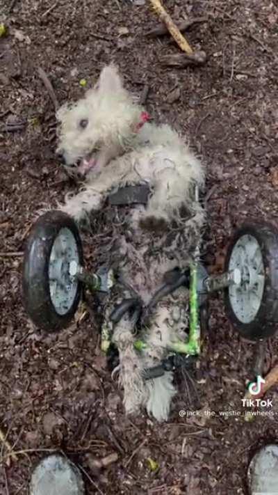 This is but a small obstacle, never stop zooming!