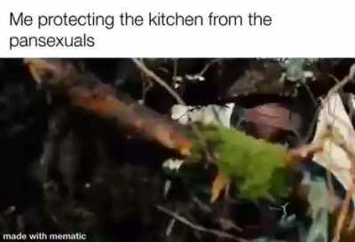 memes here come get your memes