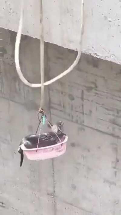 Absolute monster abandons kitty beneath bridge