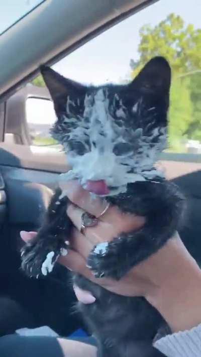 HMC while I enjoy this cattucino