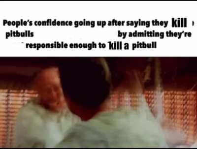 Argument defeated, pitbulls