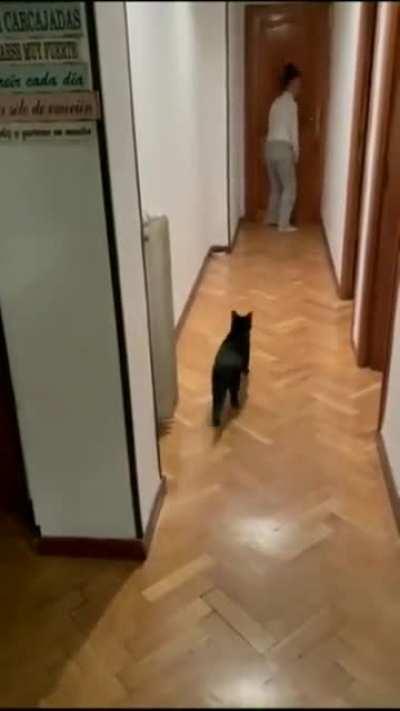 Giving me squid game vibes