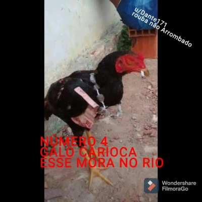 Esse vídeo ficou foda (ESTOURADO abaixe o cu)