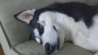 Snap back to reality