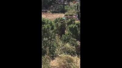 While I test out this slip and slide