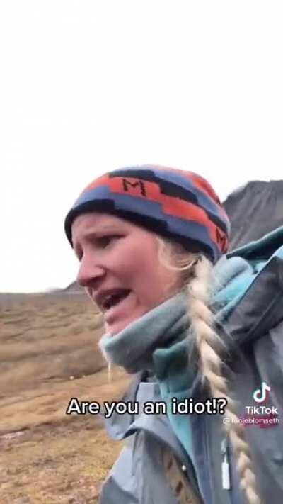 Poor husky is hurt after attacking a porcupine during a hunt