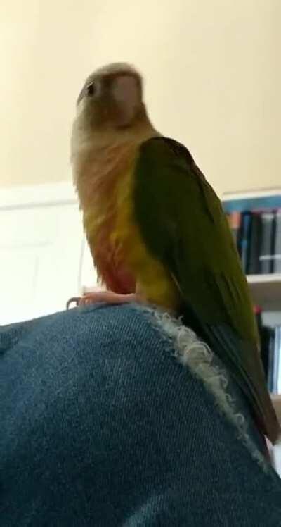 When the beat too funky