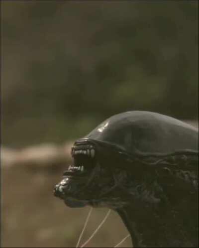 I don't know a better place than here for this