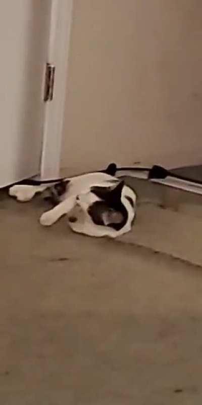 I just wanted her to look at the camera