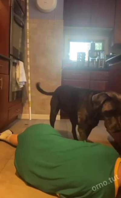 First aid (via r/WatchPeopleDieInside link in comments)