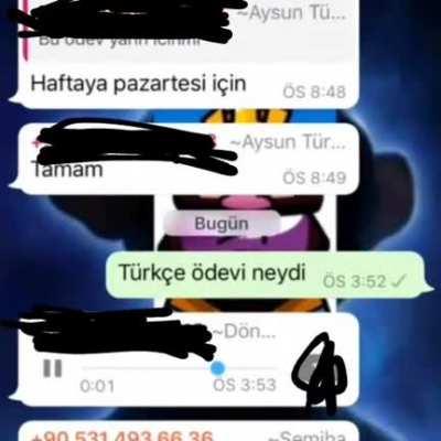 beyler kardesimin sinifndaki cocuk ne ses kaydi atmis pauahbgchd