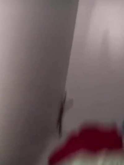 Another average day in Australia