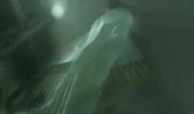 Me when I have to replay the car shooting part in Kiwami for the fifth time on hard mode