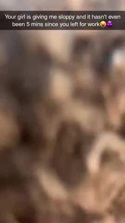 Snap from the neighbor